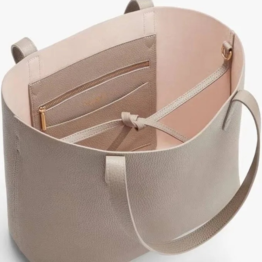 VGUC Cuyana small structured tote stone/blush